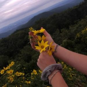 Meet your Posher, Katelynn